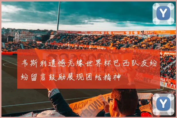 韦斯利遗憾无缘世界杯巴西队友纷纷留言鼓励展现团结精神